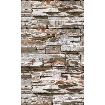 Фиброцементная плита Фаспан Дикий камень №1007 Вертикаль (1200х800х8 мм) купить в Бресте