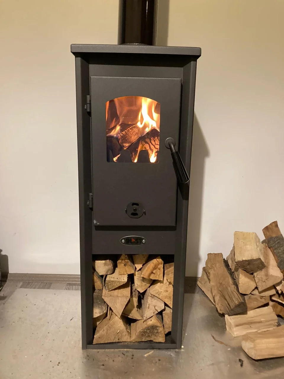 Печь-камин Blist Ekonomik Lux LM N стальная дверца Амазонка бай фото в Бресте