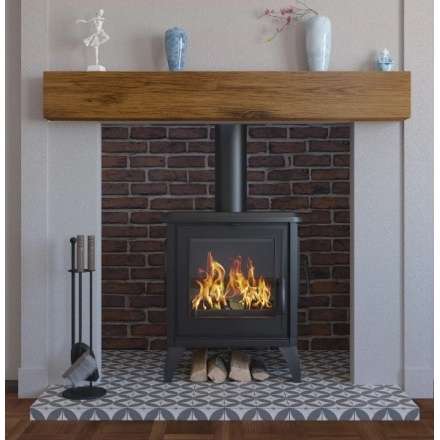 Купить чугунный Печь-камин EVEREST S10 в Бресте в Бресте