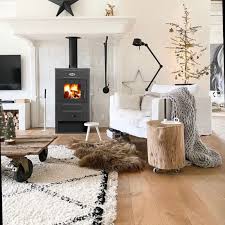 Печь-камин Blist B 2 Амазонка бай фото в Бресте