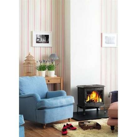 Чугунная печь камин Jotul F100 BP в Бресте