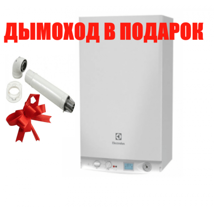 Газовый котел Electrolux GCB 30 Basic Space Duo Fi в Бресте