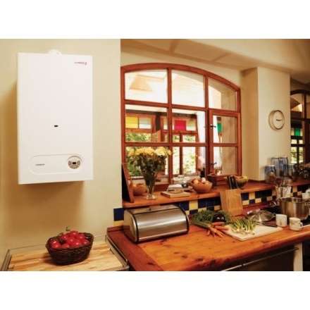 Газовый котел Protherm Тигр 24 KTZ в Бресте