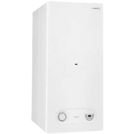 Газовый котел Protherm Тигр 24 KTZ в Бресте